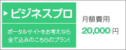 ロングテール ポータルサイト 月額20,000円